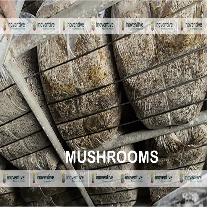 Black Round Mushroom Cultivation Racks Wire, 3mm